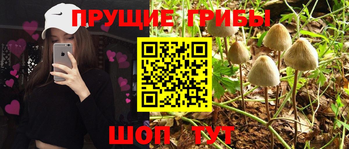 Галлюциногенные грибы мухоморы Воркута